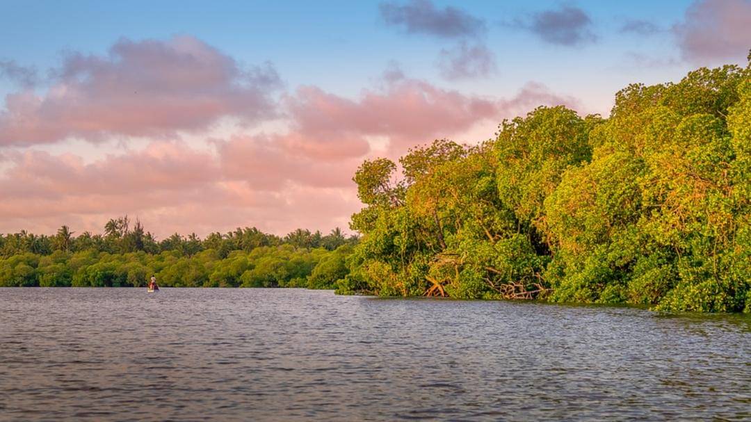 Pixabay/gildaix-18970099