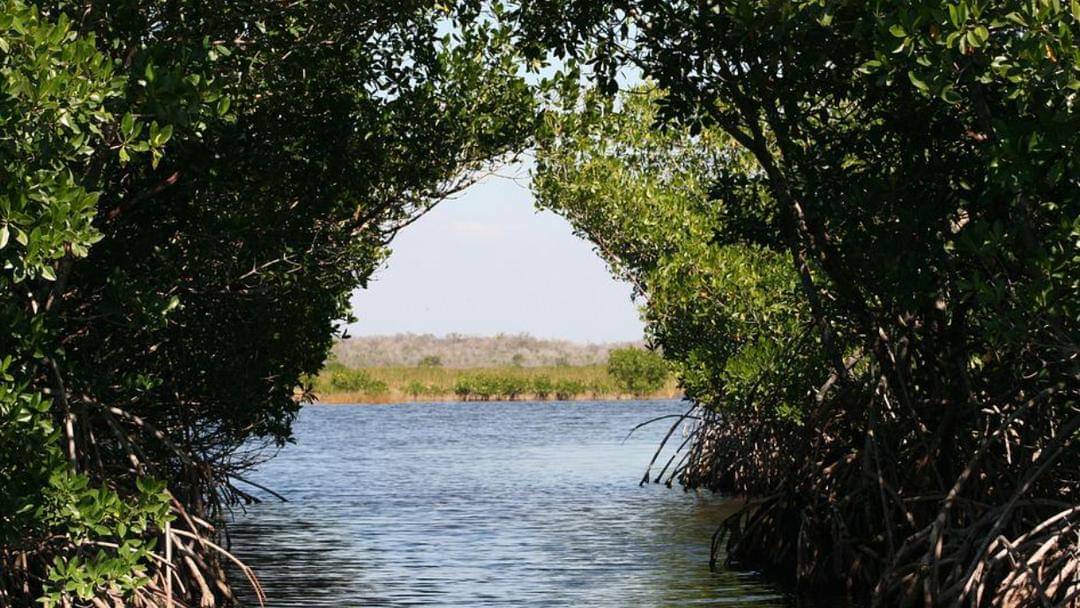 Pixabay/tanjac-17477