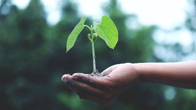 Pexels/Akil Mazumder