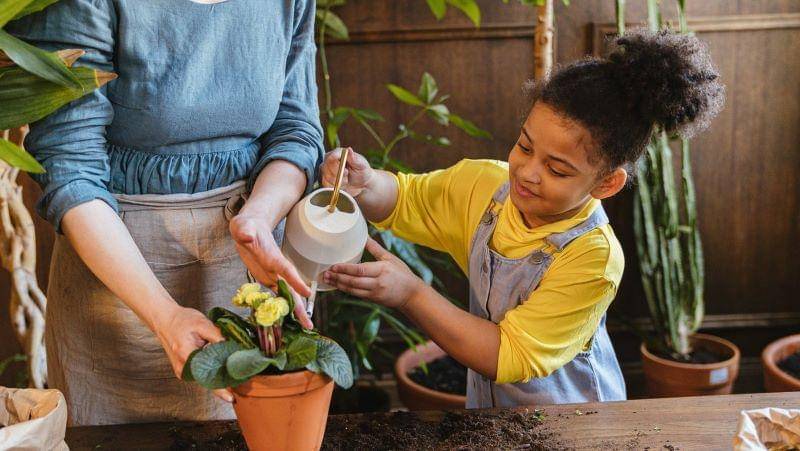 Pexels/ANTONI SHKRABA