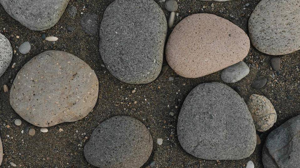 Pexels/arina-krasnikova