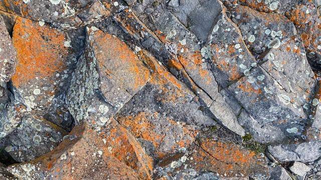 Pexels/frank-cone-140140