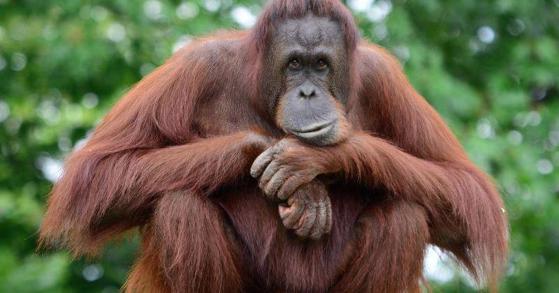 diskominfo.kaltimprov.go.id