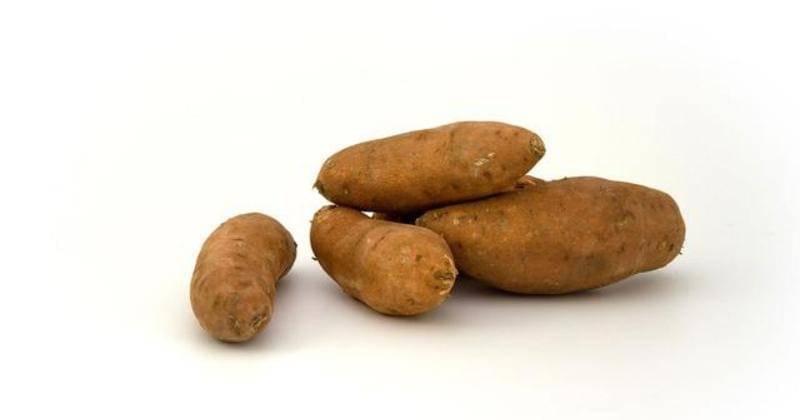 Pixabay/PublicDomainPictures