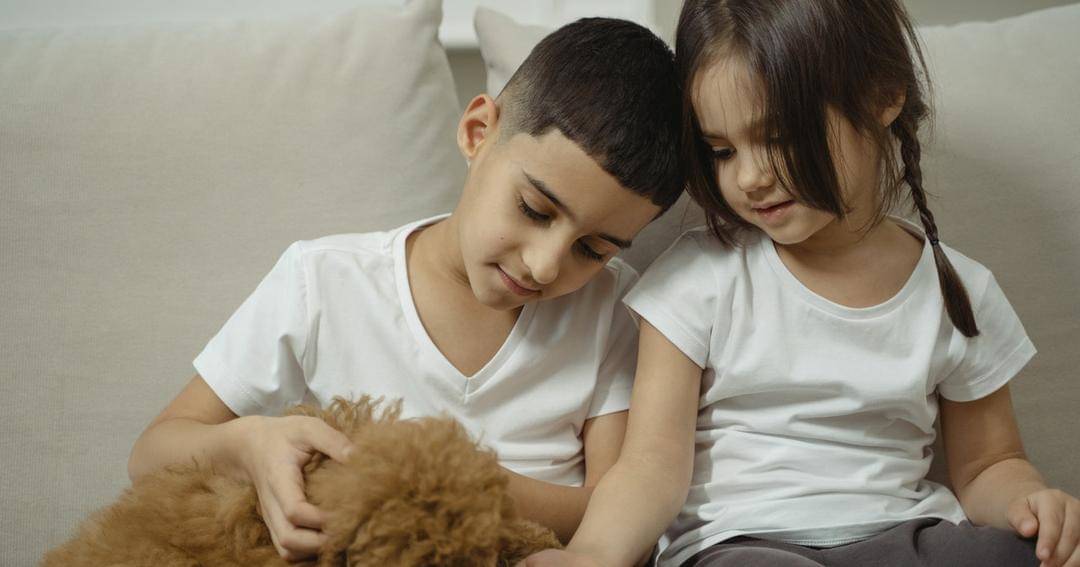 Pexels/Tima Miroshnichenko