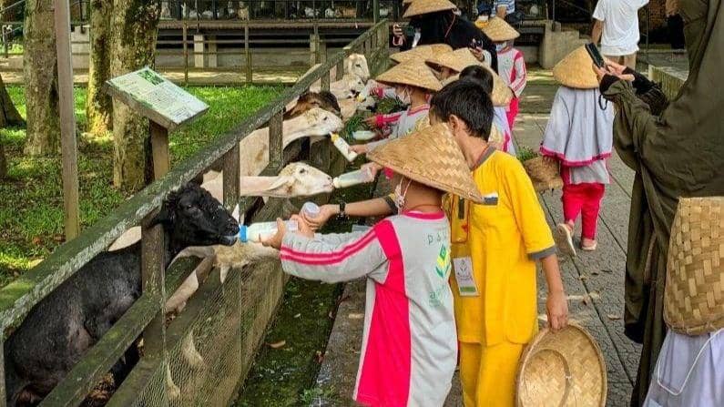 Instagram.com/kuntumfarmfield