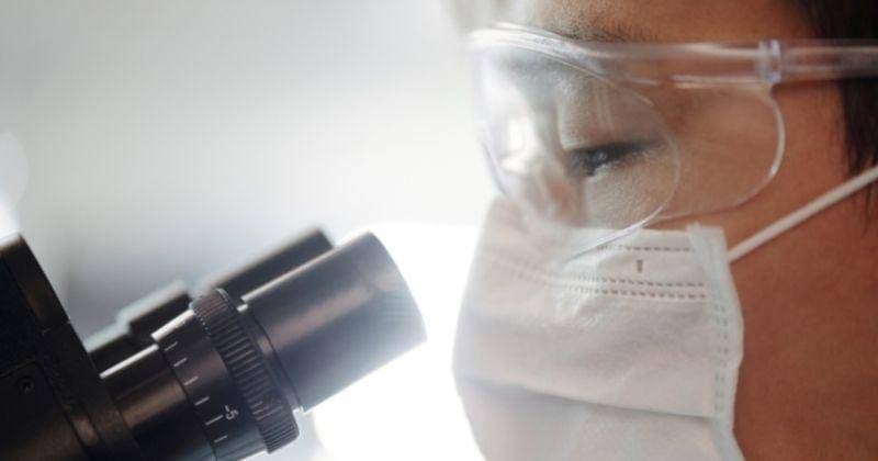 Pexels/Edward-jenner