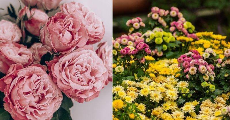 Unsplash.com/Rikonavt & Yoksel Zok