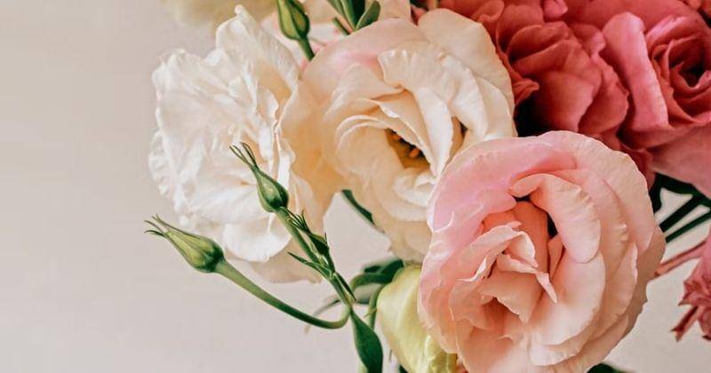 Unsplash.com/Girl with red hat