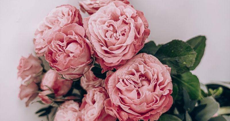 Unsplash.com/Rikonavt