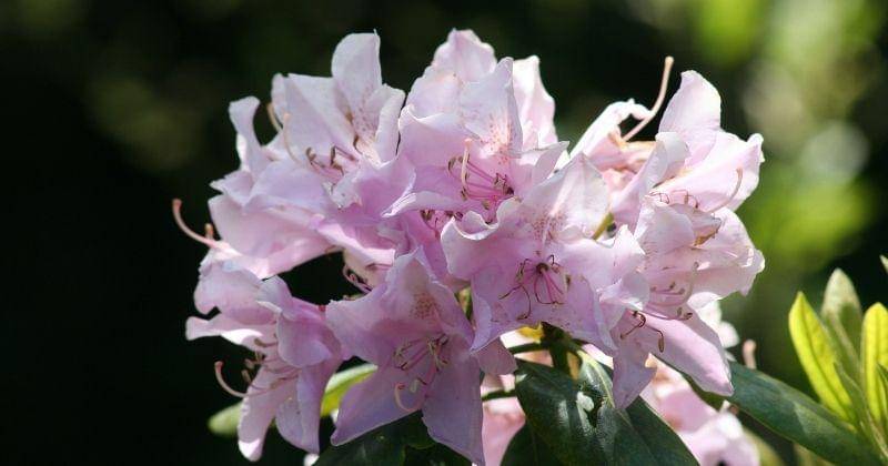 Unsplash.com/Tina Xinia