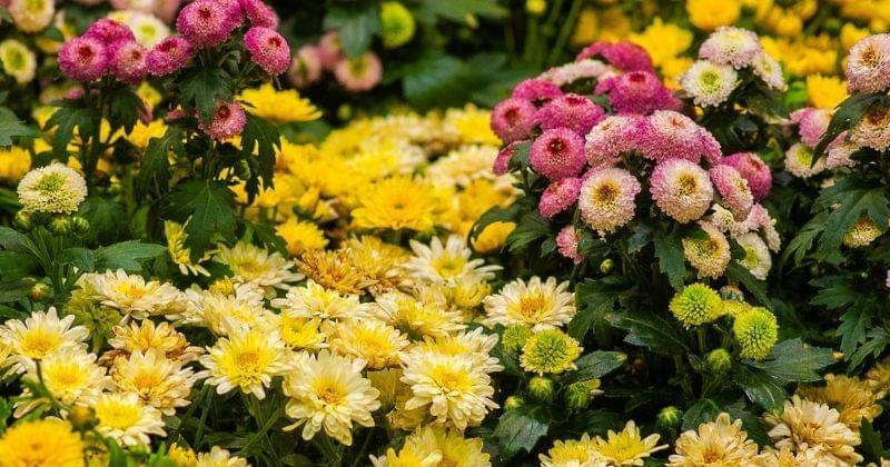 Unsplash.com/Yoksel Zok