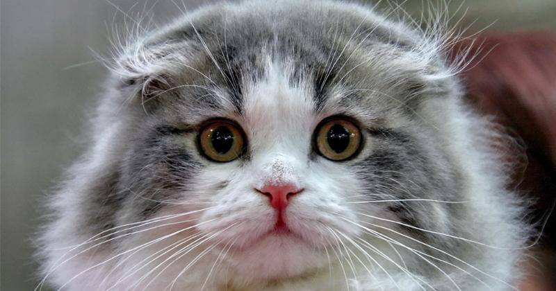 Pexels/Сергей Сёмин