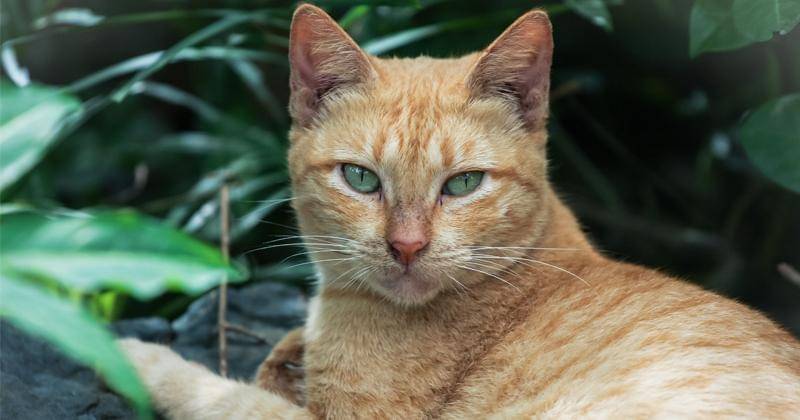 Pexels/MerveTheNerve