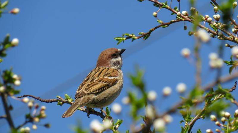 Unsplash/Anastasiya Romanova