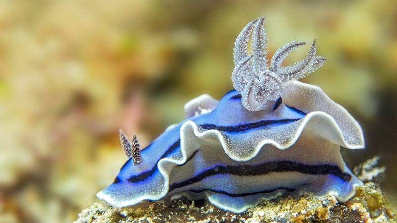 Unsplash/Dorothea OLDANI