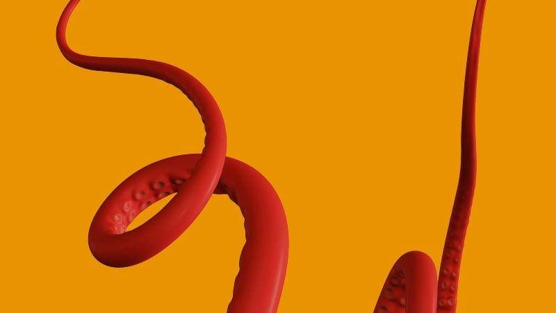 Unsplash/Ferhat Deniz Fors