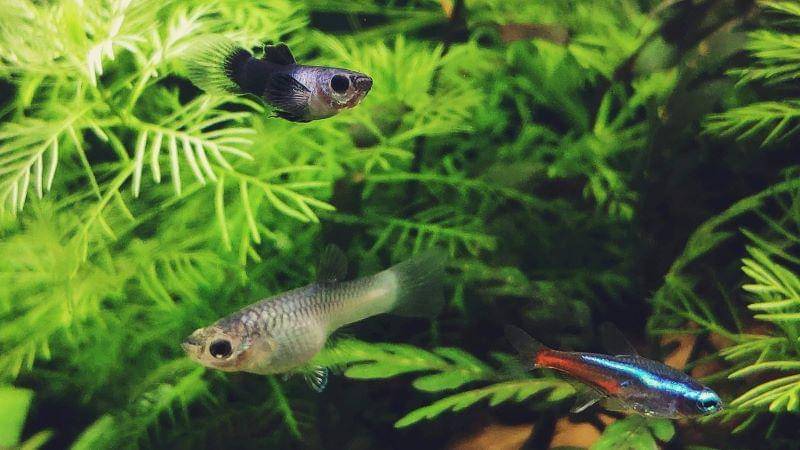 Unsplash/George Wong