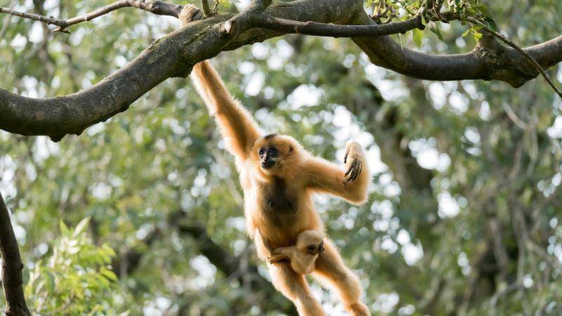 Unsplash/Ramon Vloon