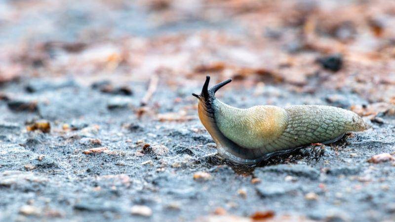 Unsplash/Vladimir Vinogradov