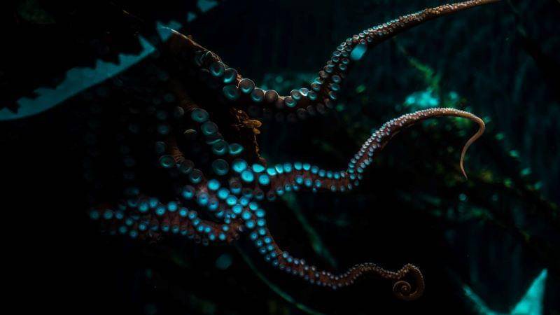 Unsplash/Yaselyn Perez