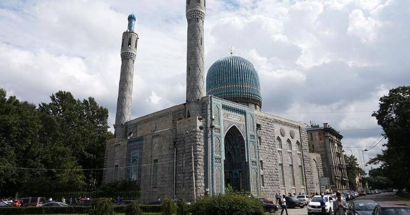 happyfrogtravels.com