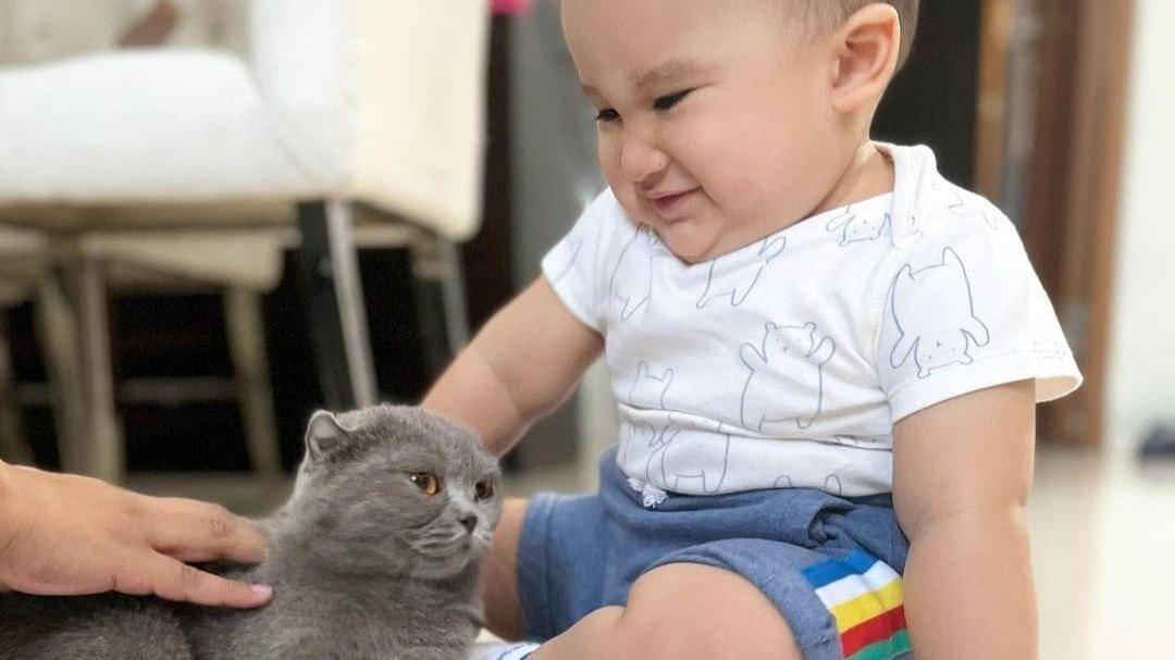 Instagram.com/Shireensungkar