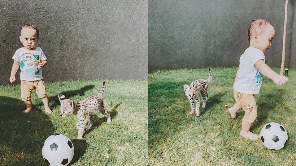 Instagram.com/okintph