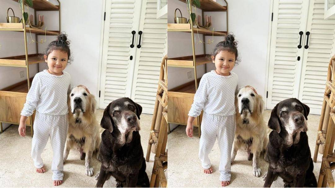 Instagram.com/mrssharena