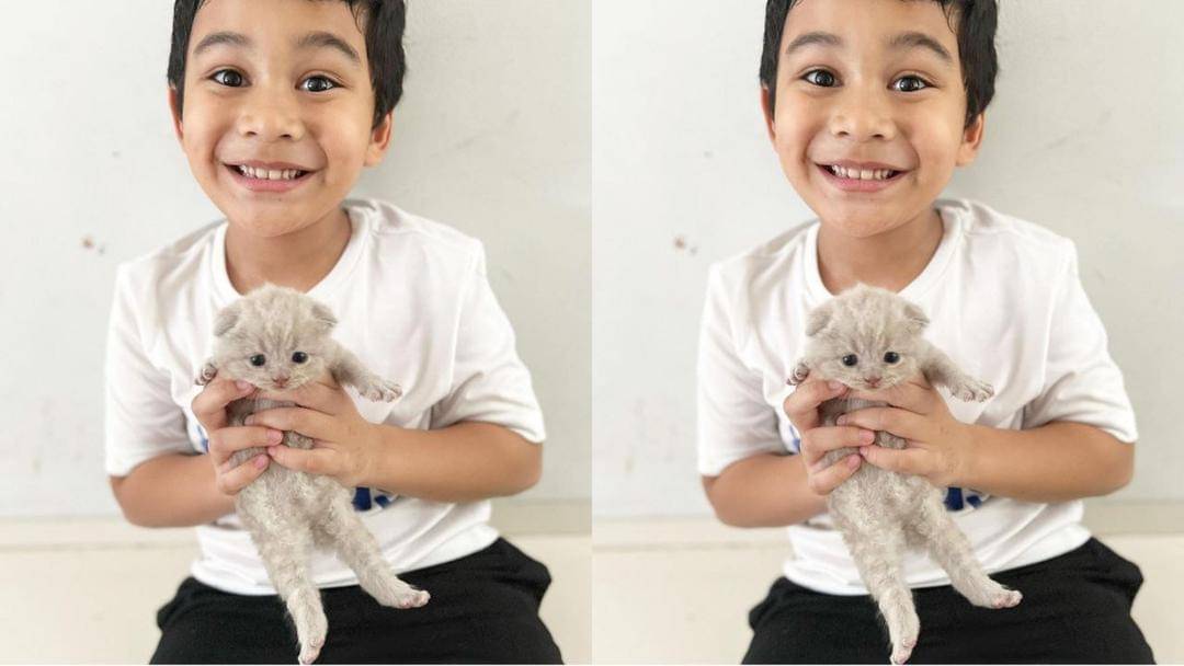 Instagram.com/Shireensungkar