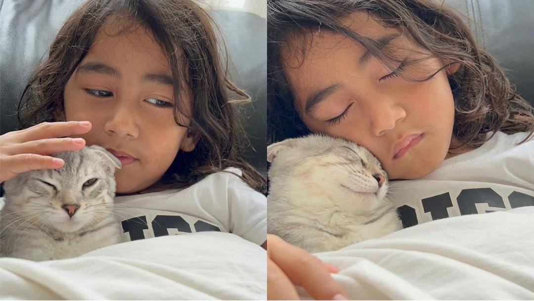 Instagram.com/meisya__siregar