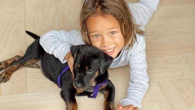 Instagram.com/kenjizizoubachdim