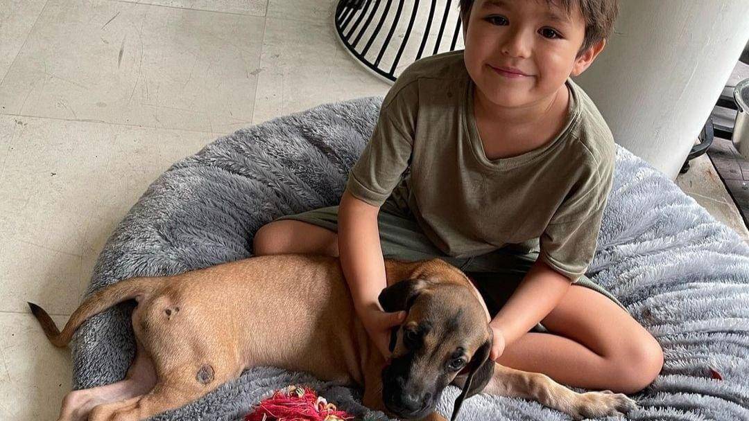 Instagram.com/alexanderbarackel