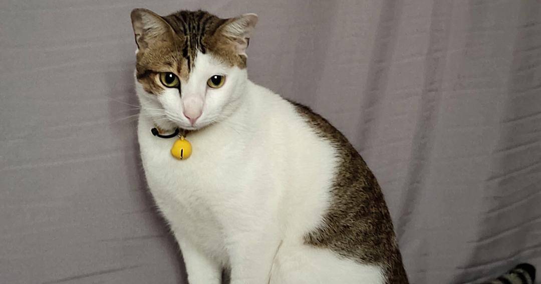 Popmama.com/Jemima Karyssa