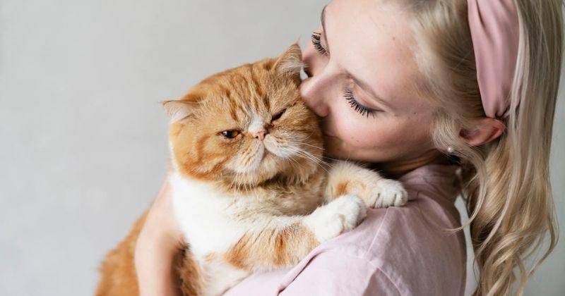 400 Nama Kucing Betina Inisial N-Z Beserta Artinya