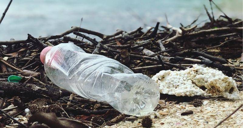 Pexels/Catherinesheila