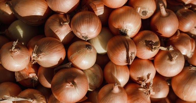 Pexels/Arina Krasnikova