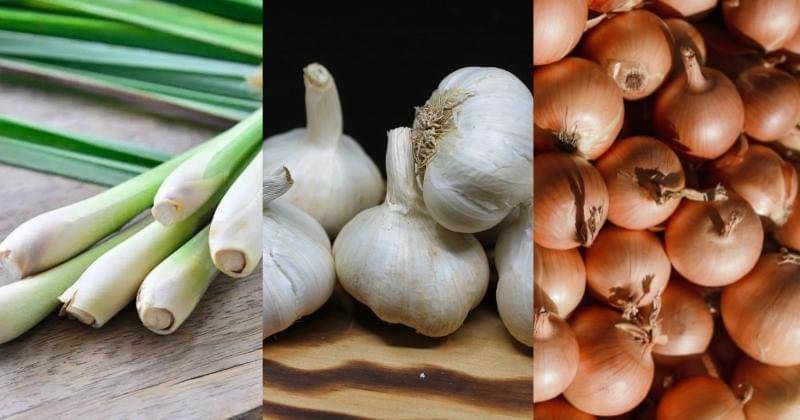 healthcautions.com, Pexels/Nick Collins, & Pexels/Arina Krasnikova