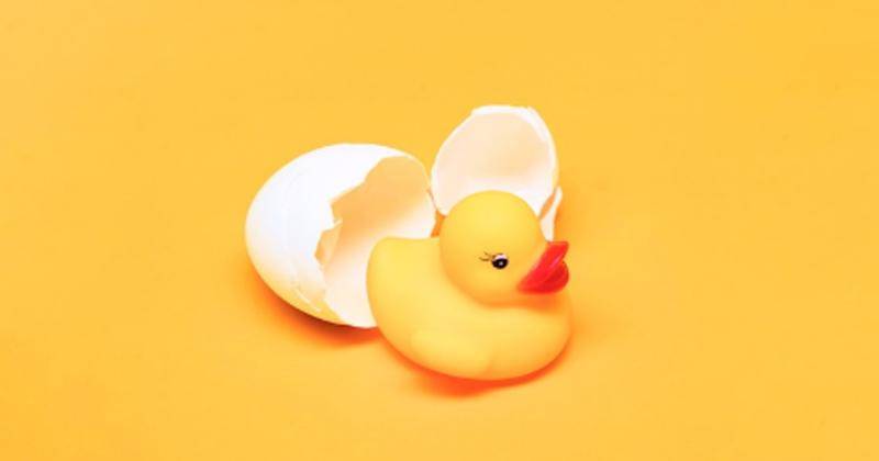 Bebek dan Telur - Freepik/freepik