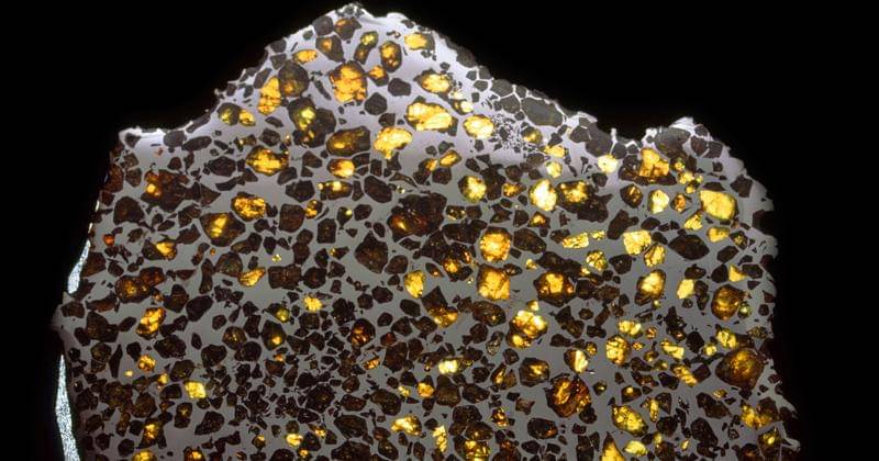 Esquel Pallasite, salah satu koleksi meteorit  logam Museum NHM London - Nhm.ac.uk