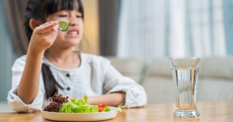 Shutterstock/Hananeko_Studio