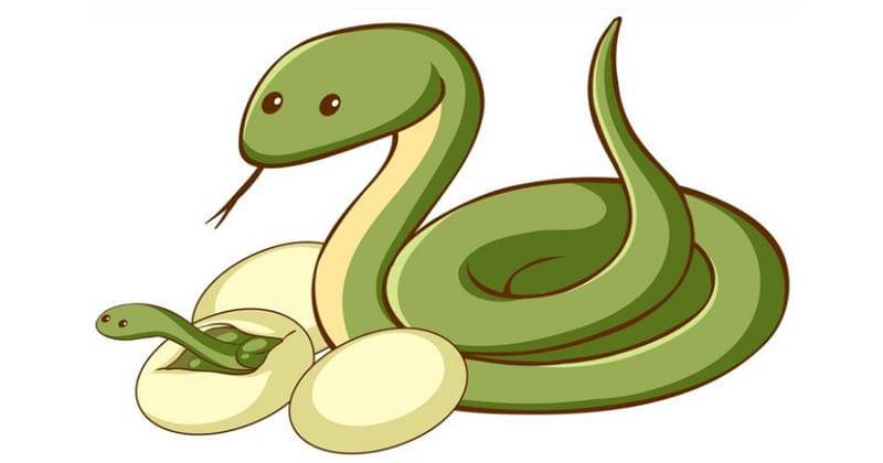 Ular dan Telur - Freepik/brgfx