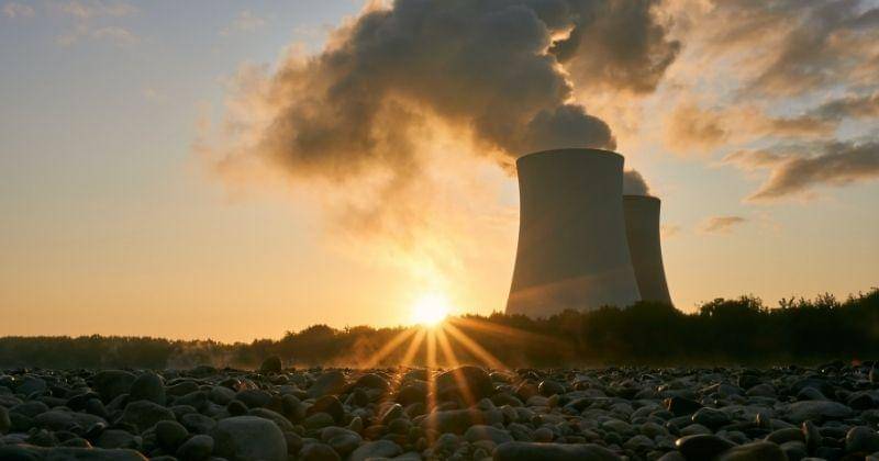 Pexels/Distelapparath