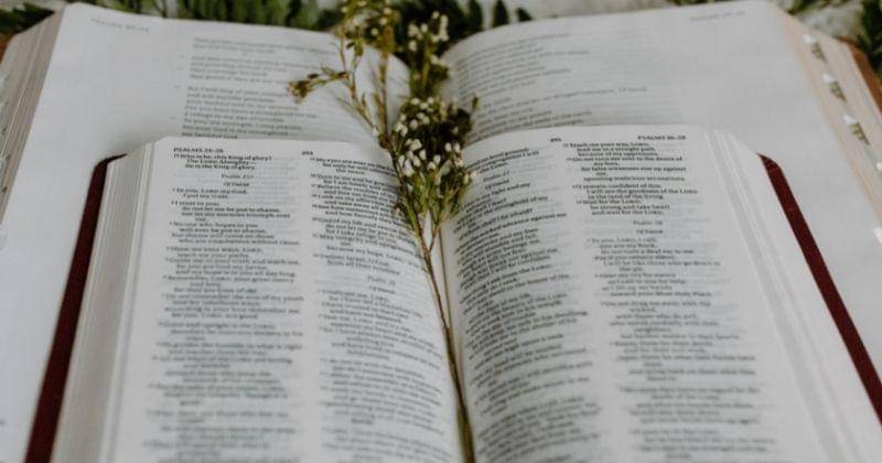 Pexels/Tara Winstead