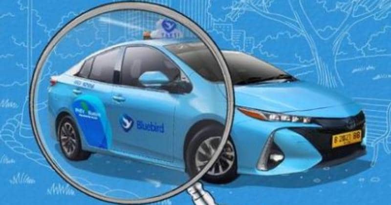 Instagram.com/bluebirdgroup/