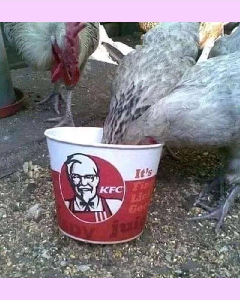 Instagram.com/yukngakak.id