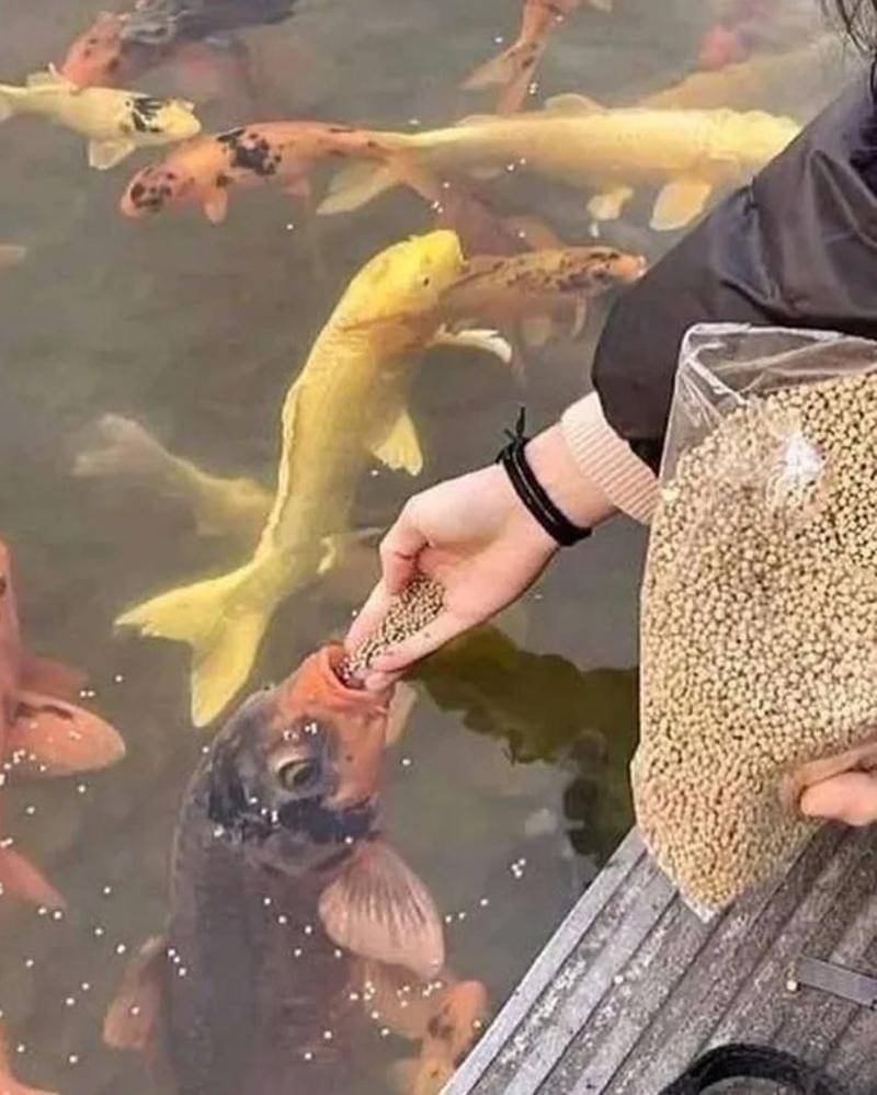 Instagram.com/onecak