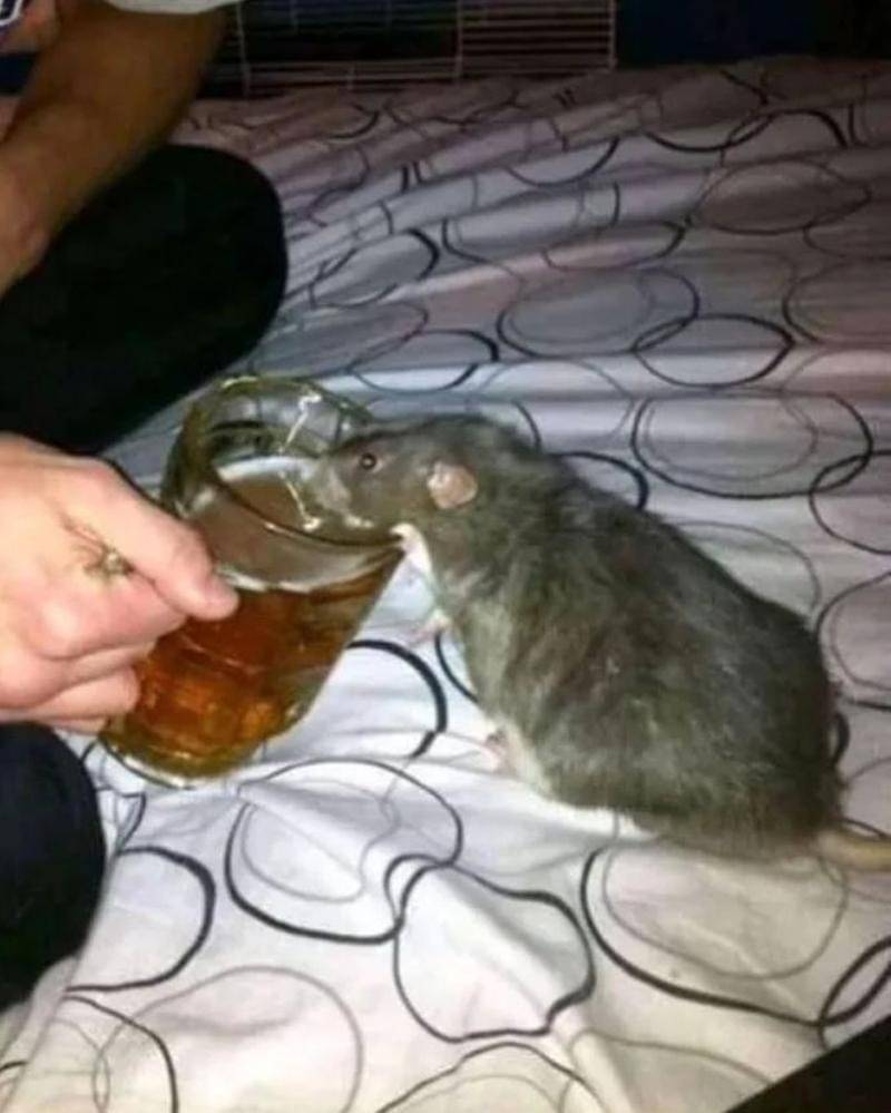 Instagram.com/onecak