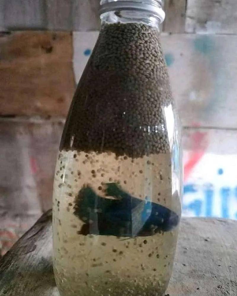 Instagram.com/yukngakak.id