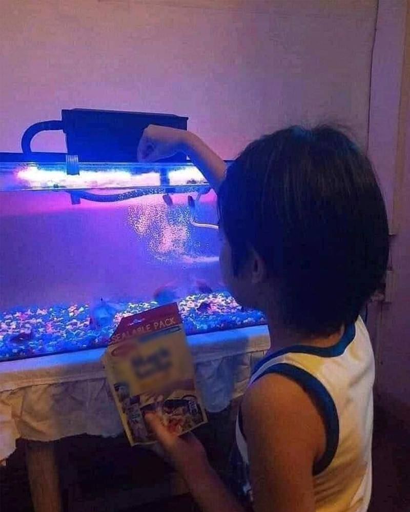 Instagram.com/wkwkland_real